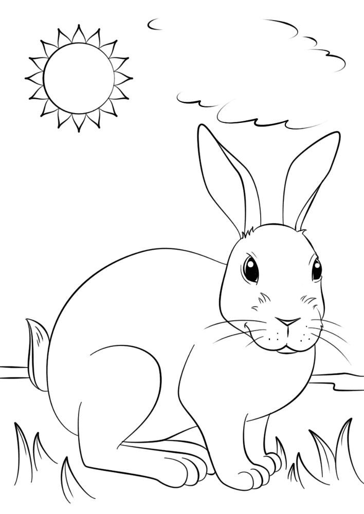Desenho de Coelhos para colorir