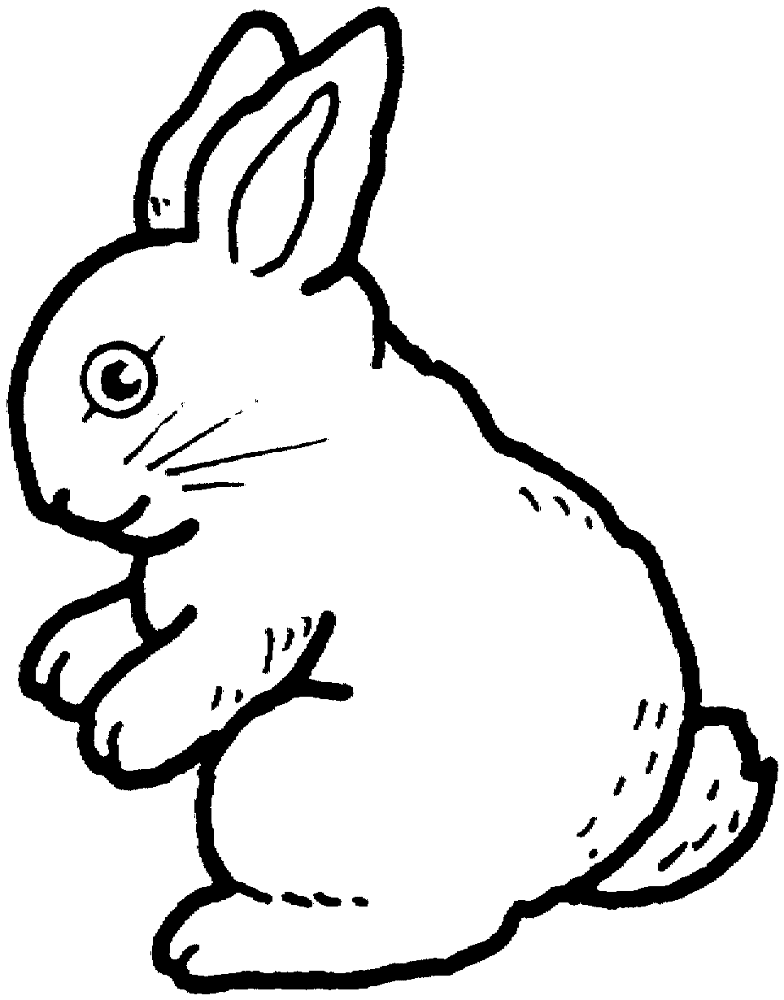 Desenho de Coelhos para colorir