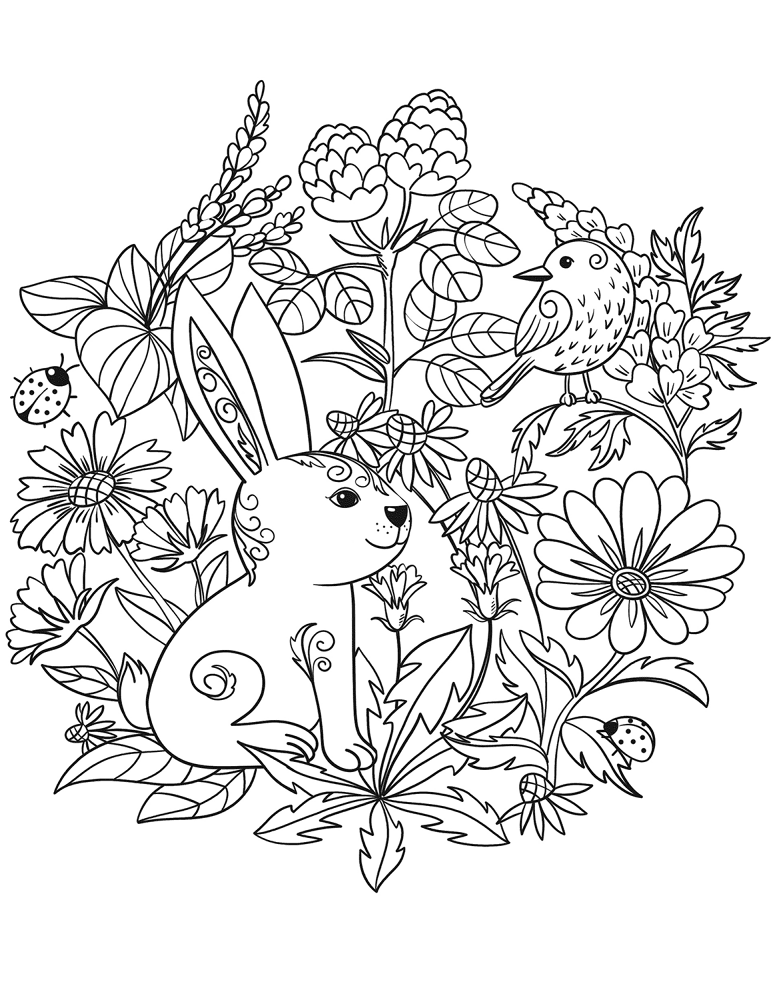 Desenho de Coelhos para colorir