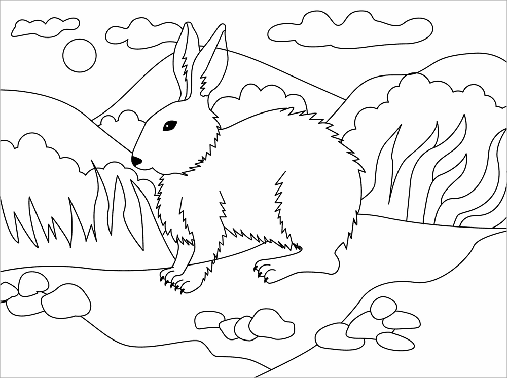 Desenho de Coelhos para colorir