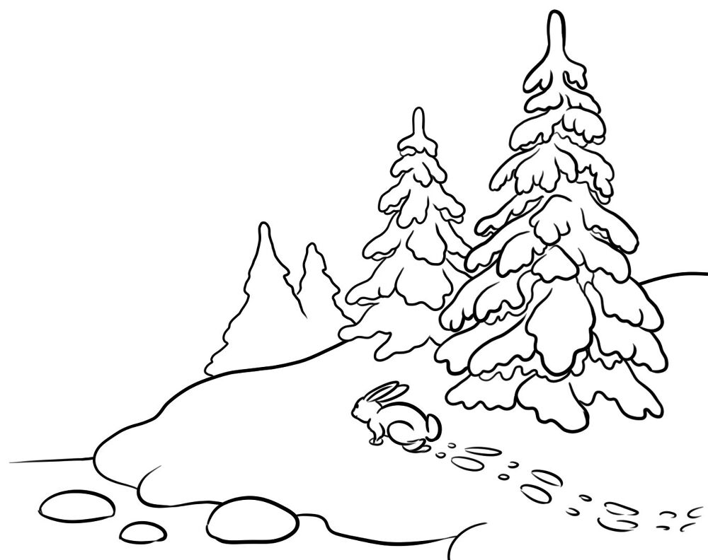 Desenho de Coelhos para colorir