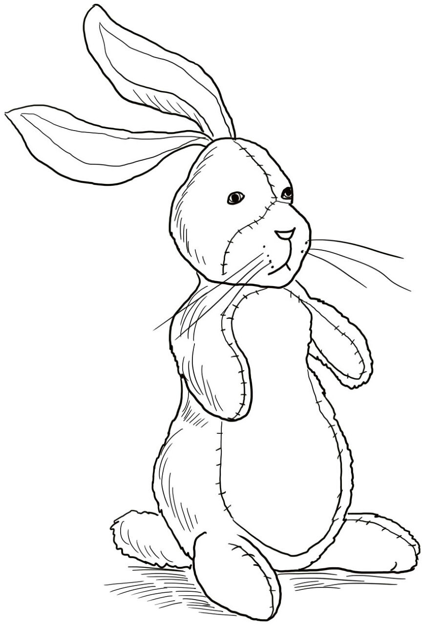Desenho de Coelhos para colorir