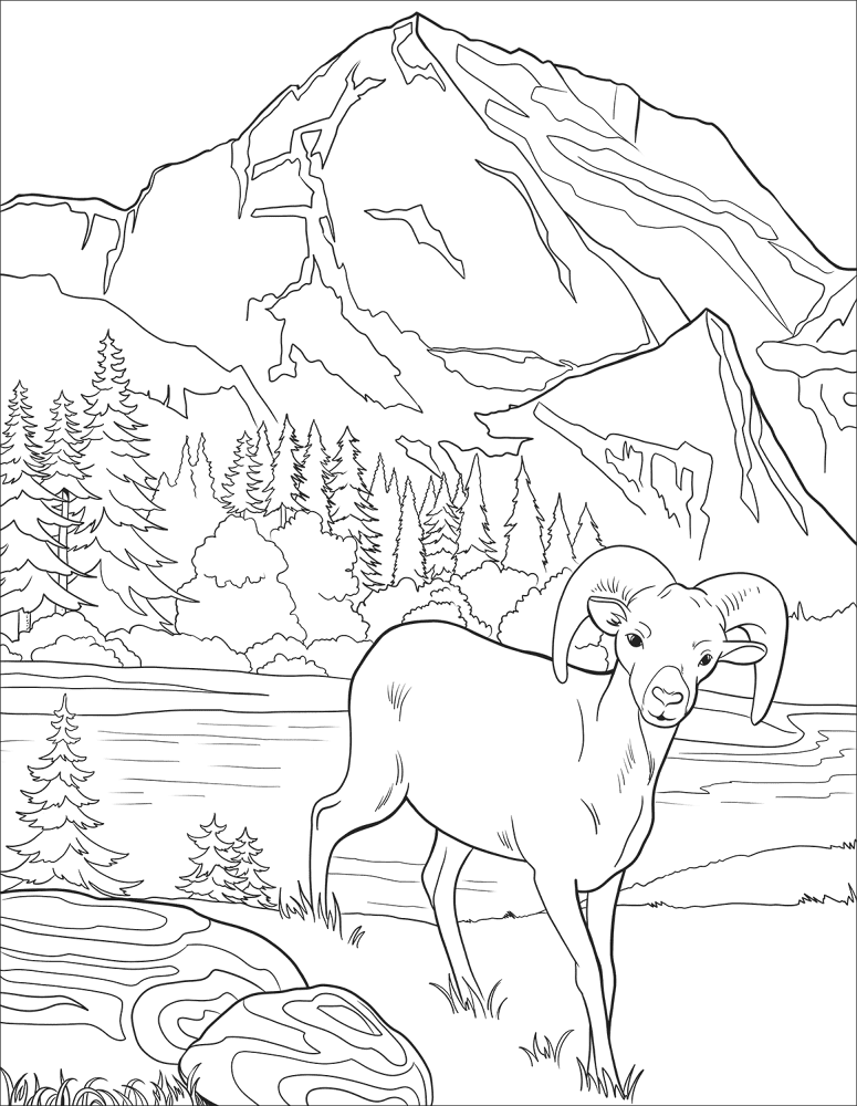 Desenho de Corneta para colorir e imprimir: número 7
