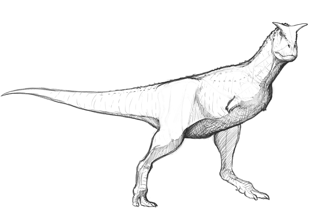 Desenho de Corneta para colorir e imprimir: número 8