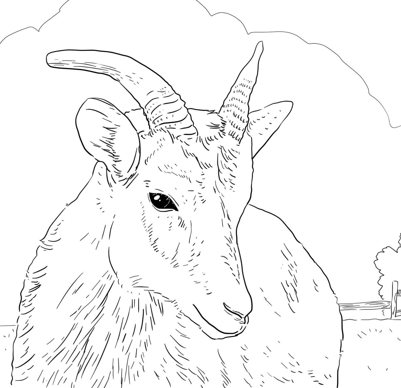 Desenho de Corneta para colorir e imprimir: número 17