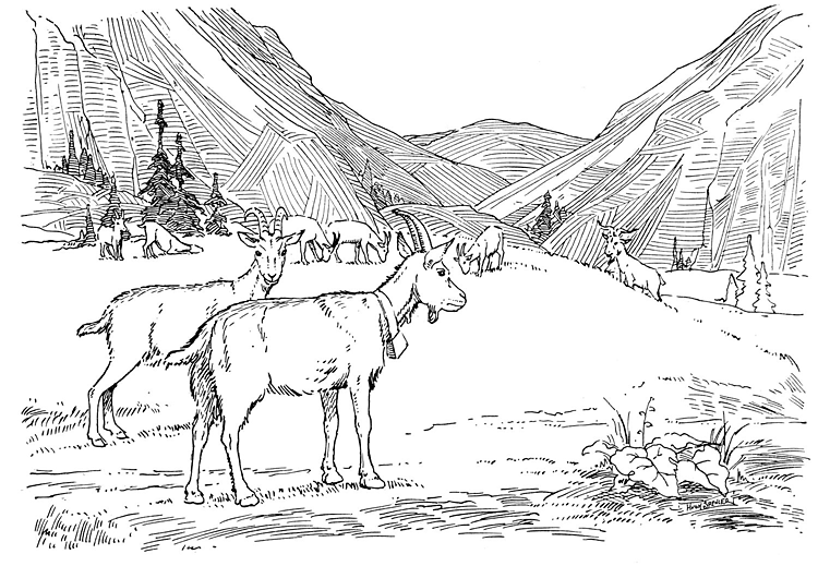 Desenho de Corneta para colorir e imprimir: número 20