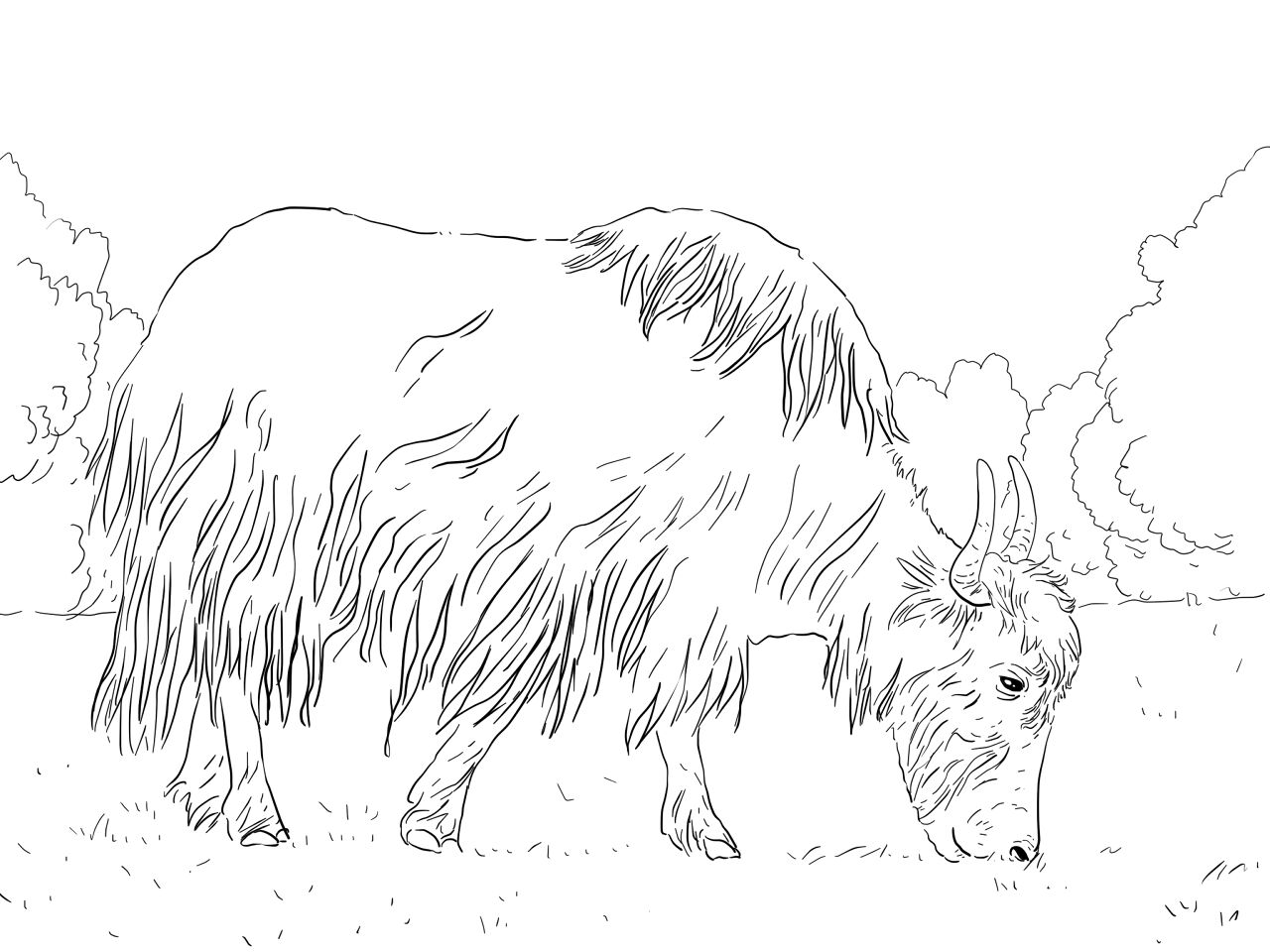 Desenho de Corneta para colorir e imprimir: número 21
