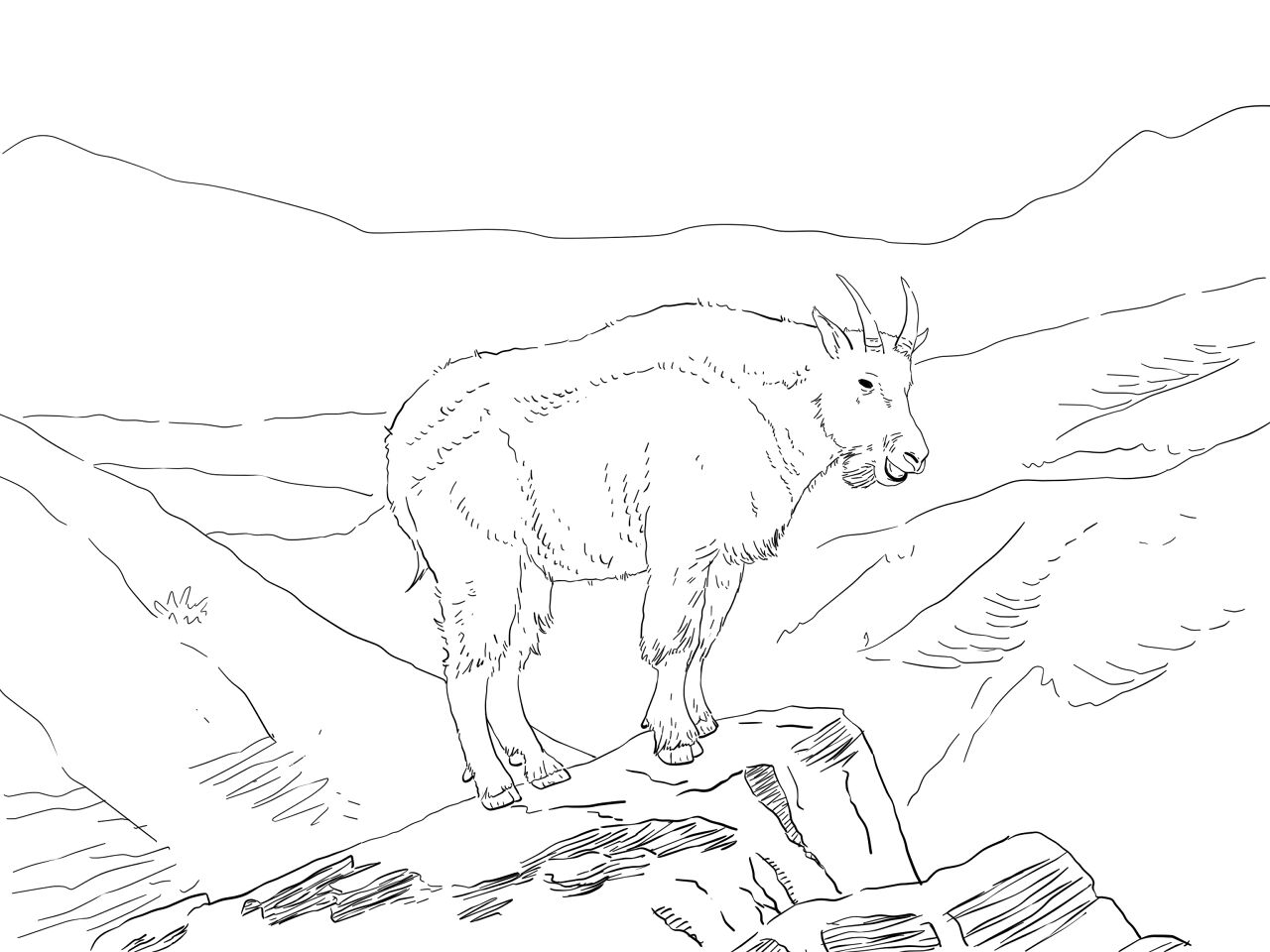 Desenho de Corneta para colorir e imprimir: número 25