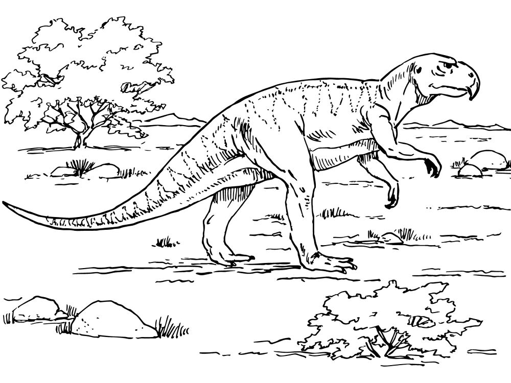 Desenho de Corneta para colorir e imprimir: número 27