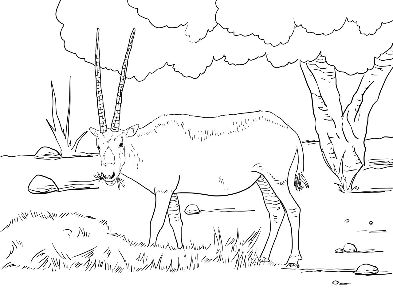 Desenho de Corneta para colorir e imprimir: número 28