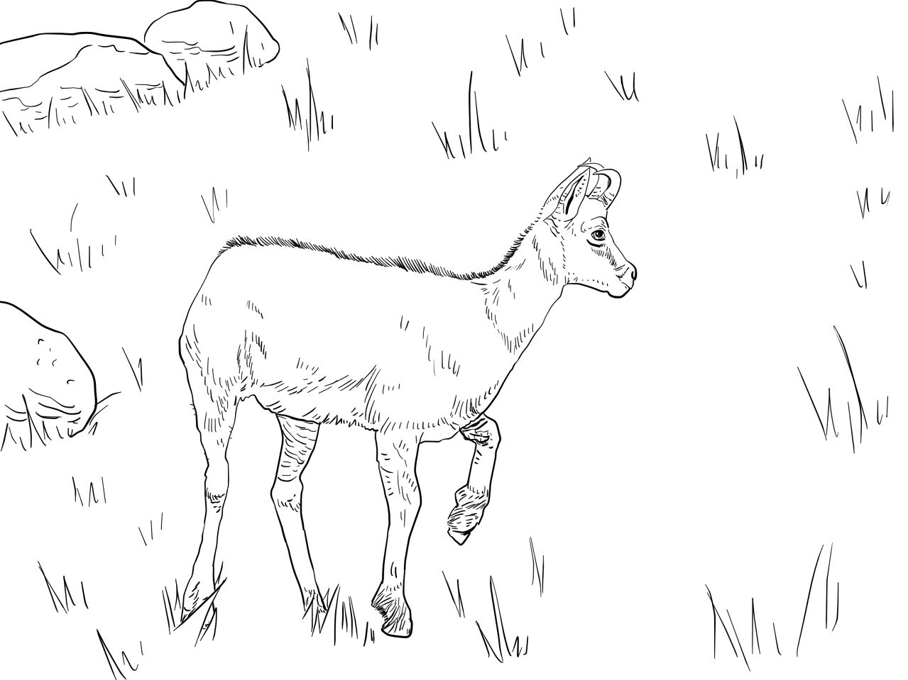 Desenho de Corneta para colorir e imprimir: número 29