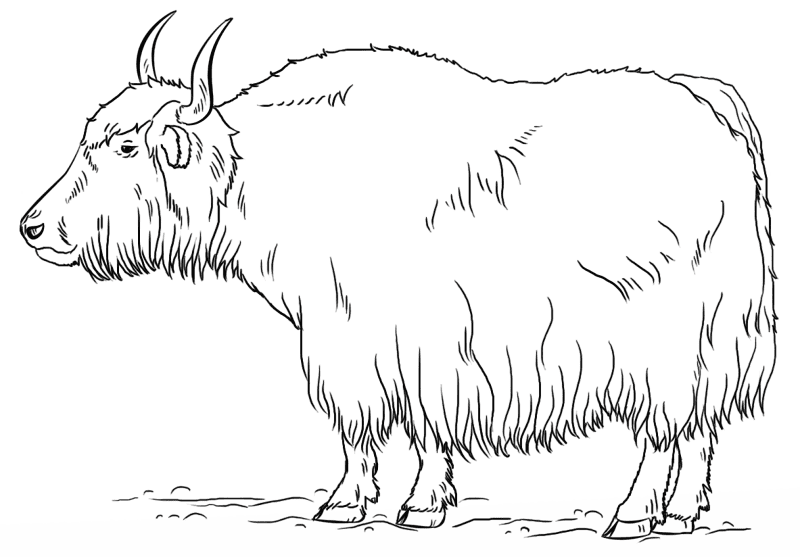 Desenho de Corneta para colorir e imprimir: número 37