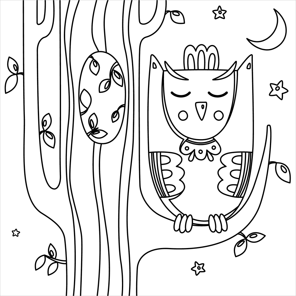 Desenho de Corujas para colorir e imprimir: número 1