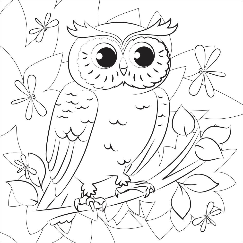 Desenho de Corujas para colorir e imprimir: número 2