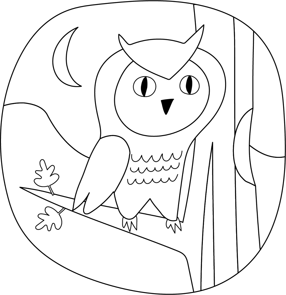 Desenho de Corujas para colorir e imprimir: número 5