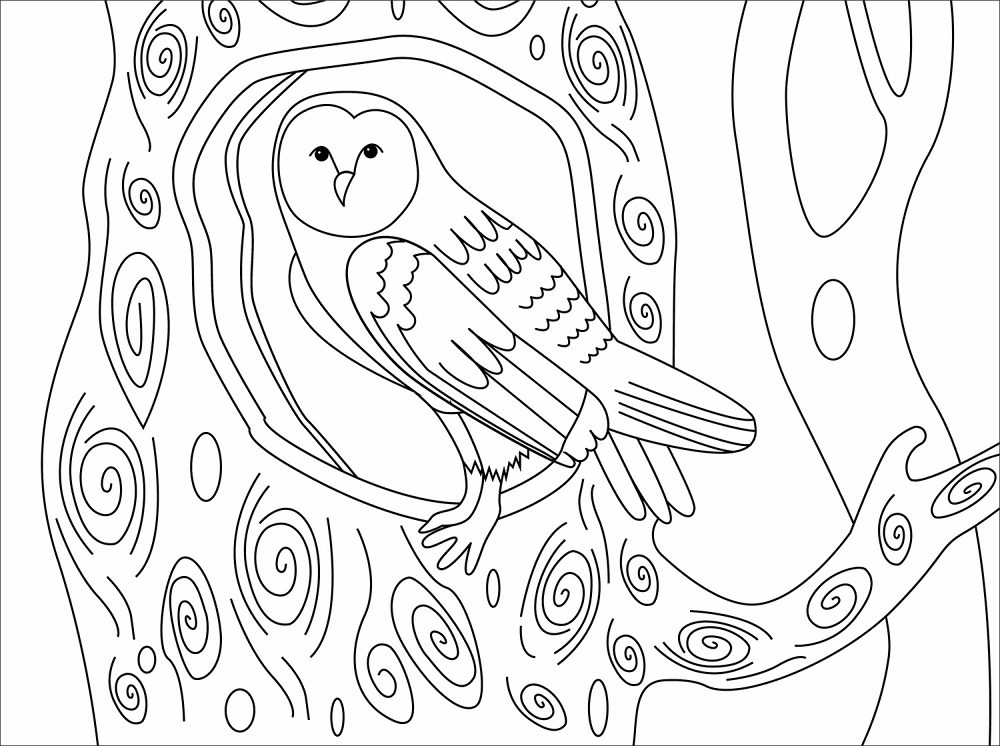 Desenho de Corujas para colorir e imprimir: número 11