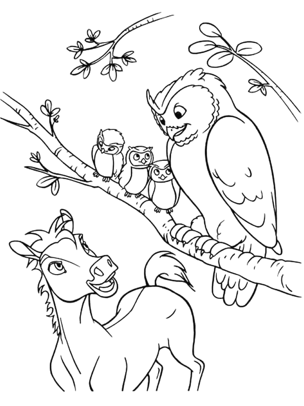 Desenho de Corujas para colorir e imprimir: número 14