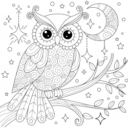 Desenho de Corujas para colorir e imprimir: número 37