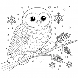 Desenho de Corujas para colorir e imprimir: número 48