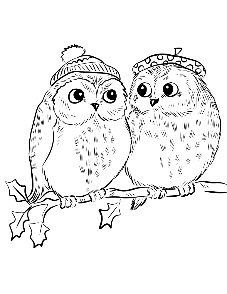 Desenho de Corujas para colorir