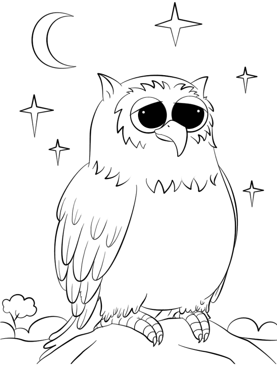 Desenho de Corujas para colorir