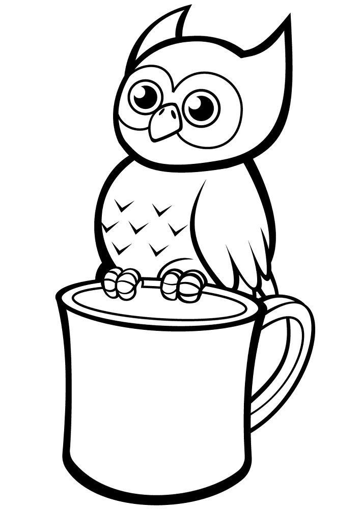 Desenho de Corujas para colorir