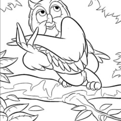 Desenho de Corujas para colorir