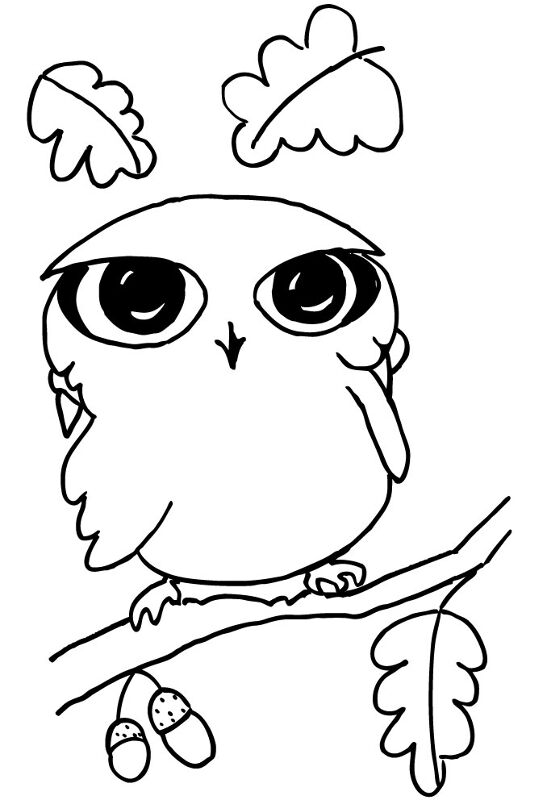 Desenho de Corujas para colorir