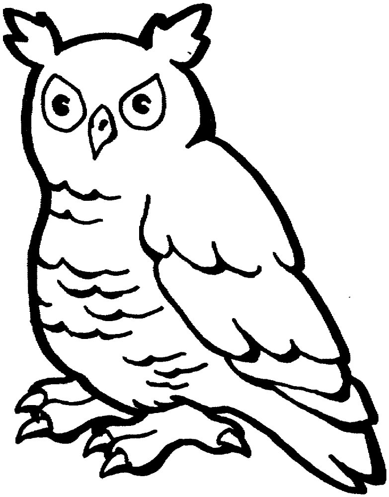 Desenho de Corujas para colorir
