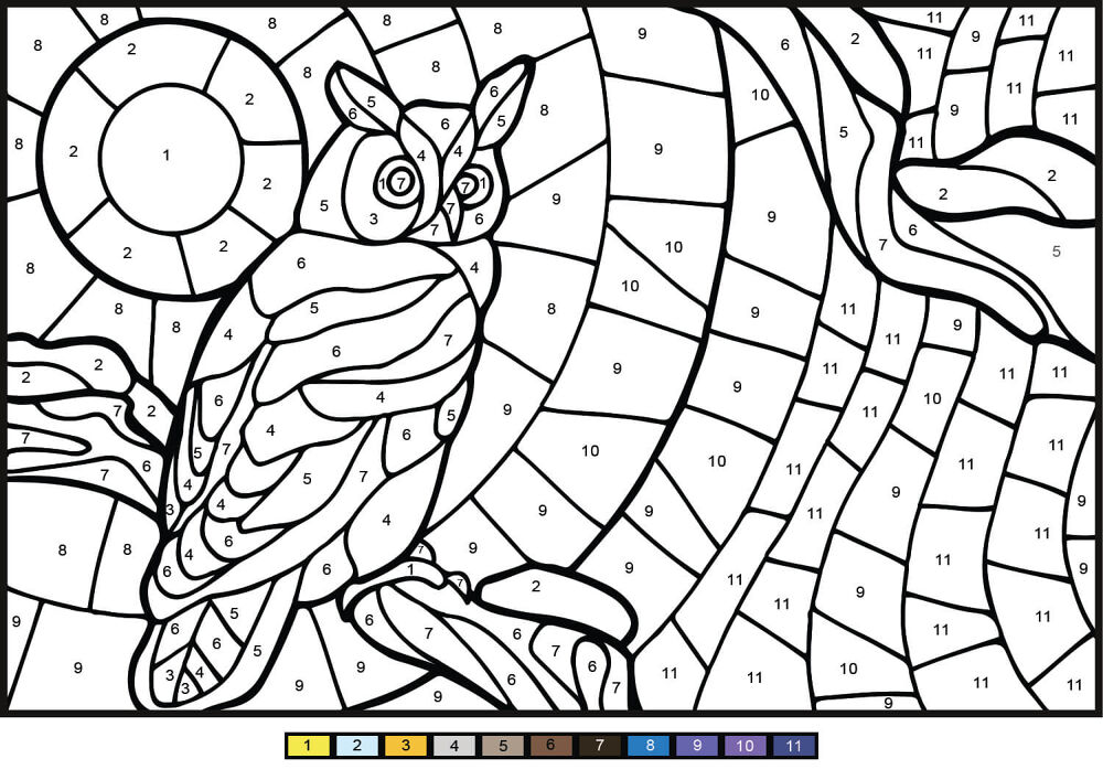 Desenho de Corujas para colorir