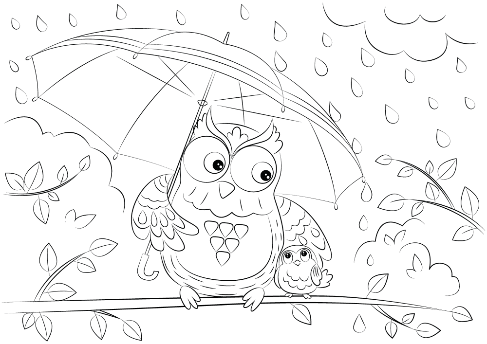Desenho de Corujas para colorir
