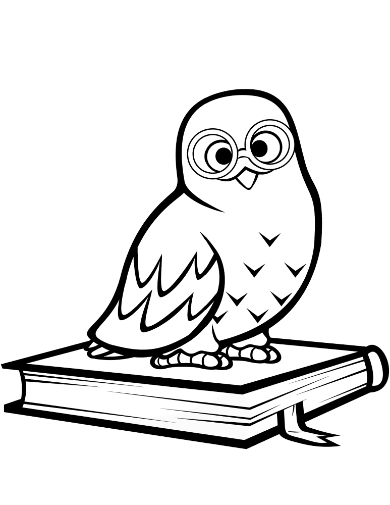 Desenho de Corujas para colorir