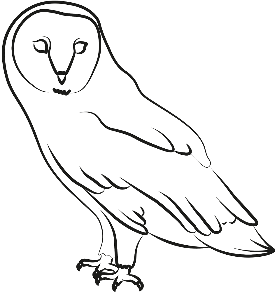 Desenho de Corujas para colorir