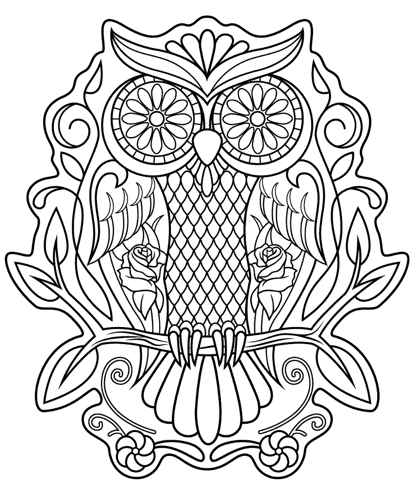 Desenho de Corujas para colorir