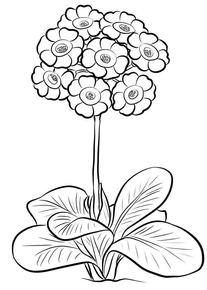 Desenho de Decorativo para colorir e imprimir: número 3