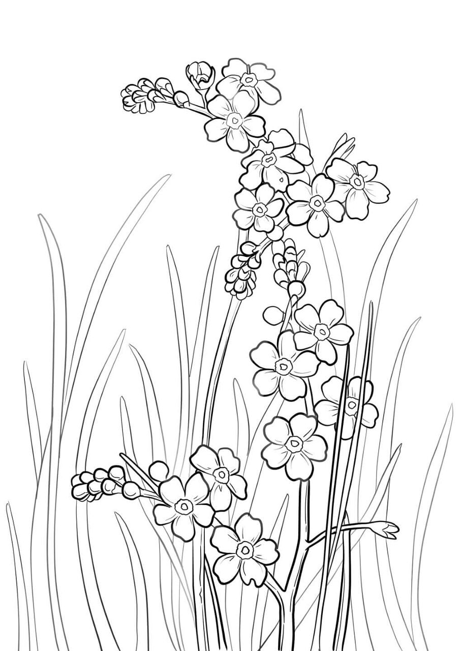 Desenho de Decorativo para colorir e imprimir: número 4