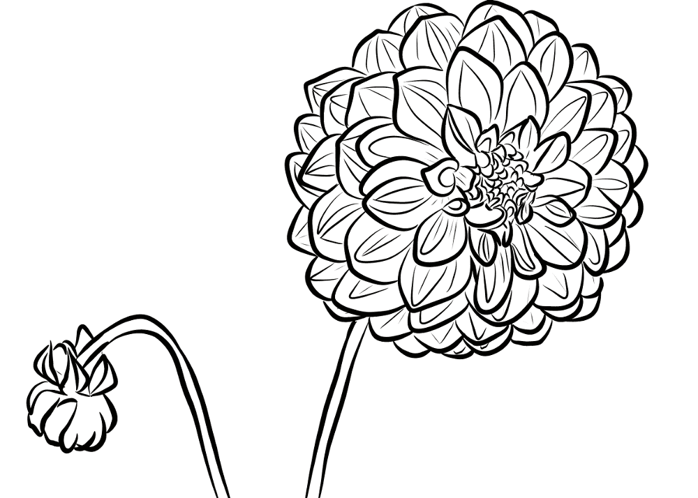 Desenho de Decorativo para colorir e imprimir: número 12