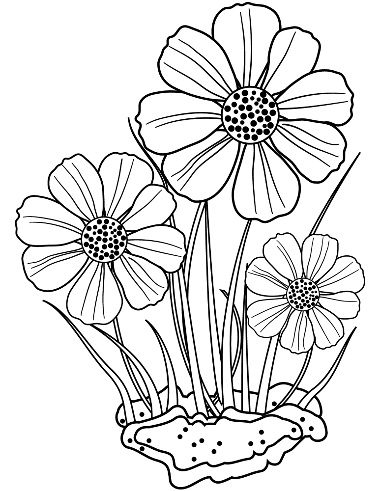 Desenho de Decorativo para colorir e imprimir: número 14