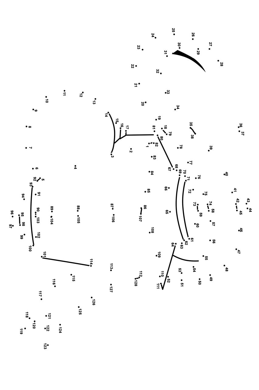 Desenho de Decorativo para colorir e imprimir: número 16