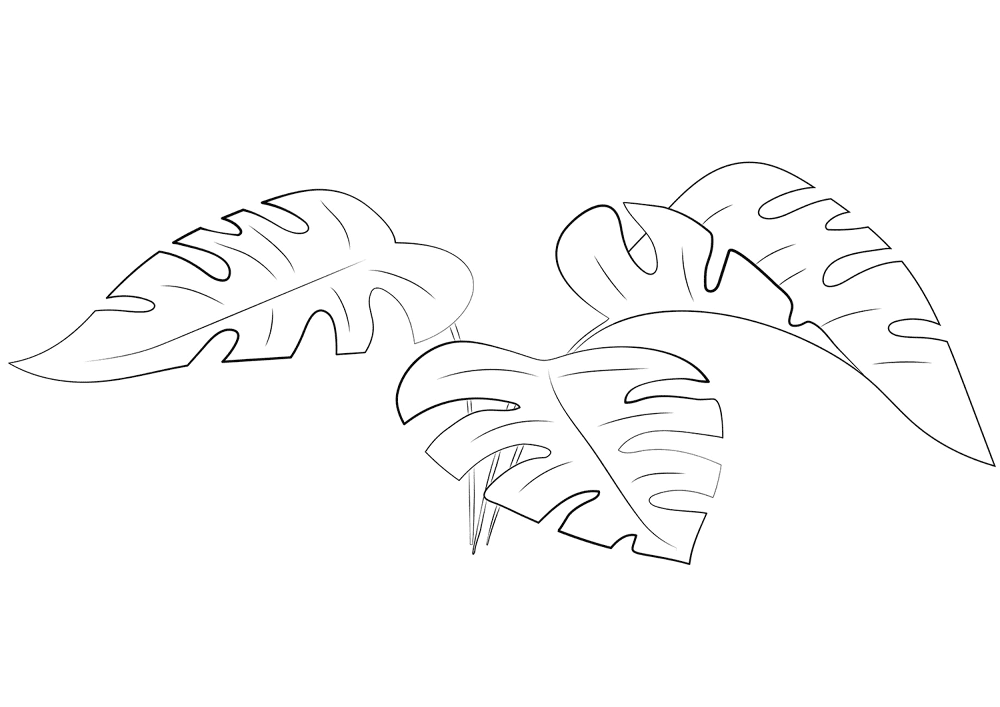 Desenho de Decorativo para colorir