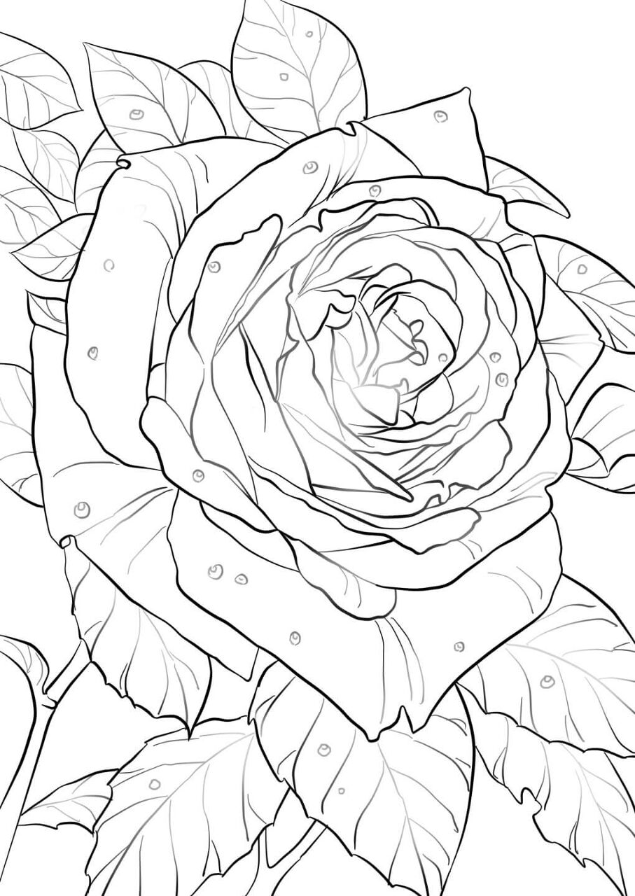Desenho de Decorativo para colorir