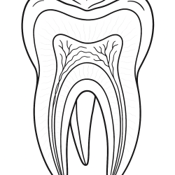 Desenho de Dentistas para colorir e imprimir: número 14