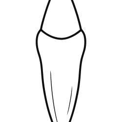 Desenho de Dentistas para colorir e imprimir: número 15