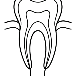 Desenho de Dentistas para colorir e imprimir: número 16