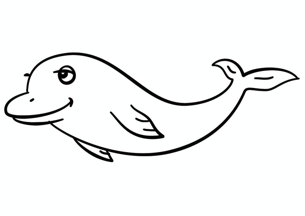 Desenho de Desenhos de Animais Marinhos para Colorir para colorir e imprimir: número 5