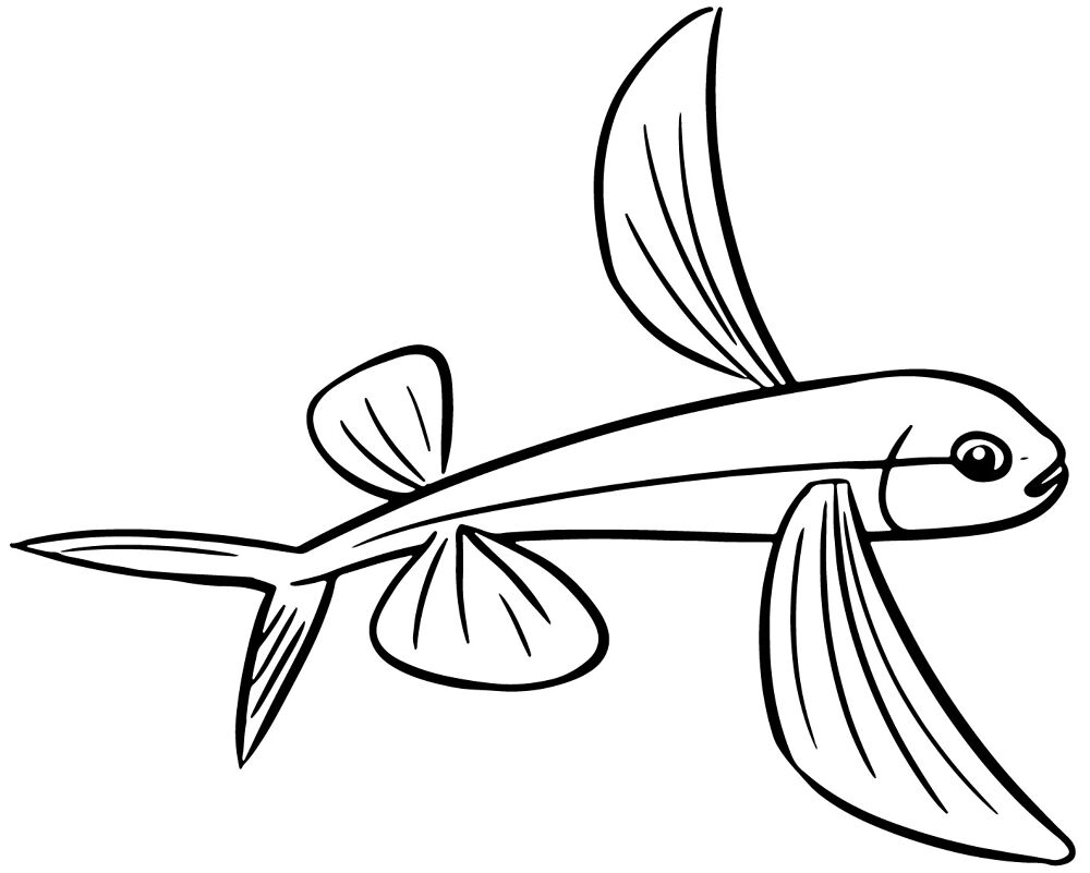 Desenho de Desenhos de Animais Marinhos para Colorir para colorir e imprimir: número 8