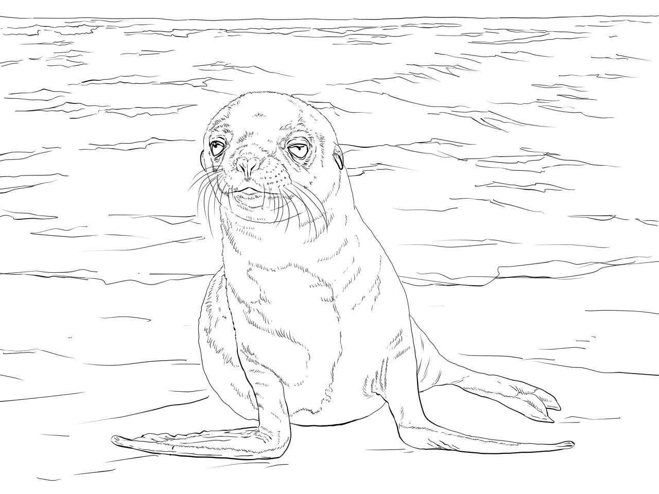 Desenho de Desenhos de Animais Marinhos para Colorir para colorir e imprimir: número 9