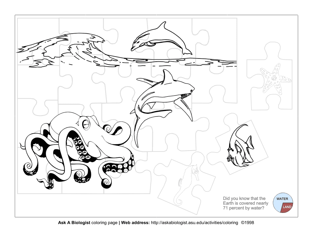 Desenho de Desenhos de Animais Marinhos para Colorir para colorir e imprimir: número 15
