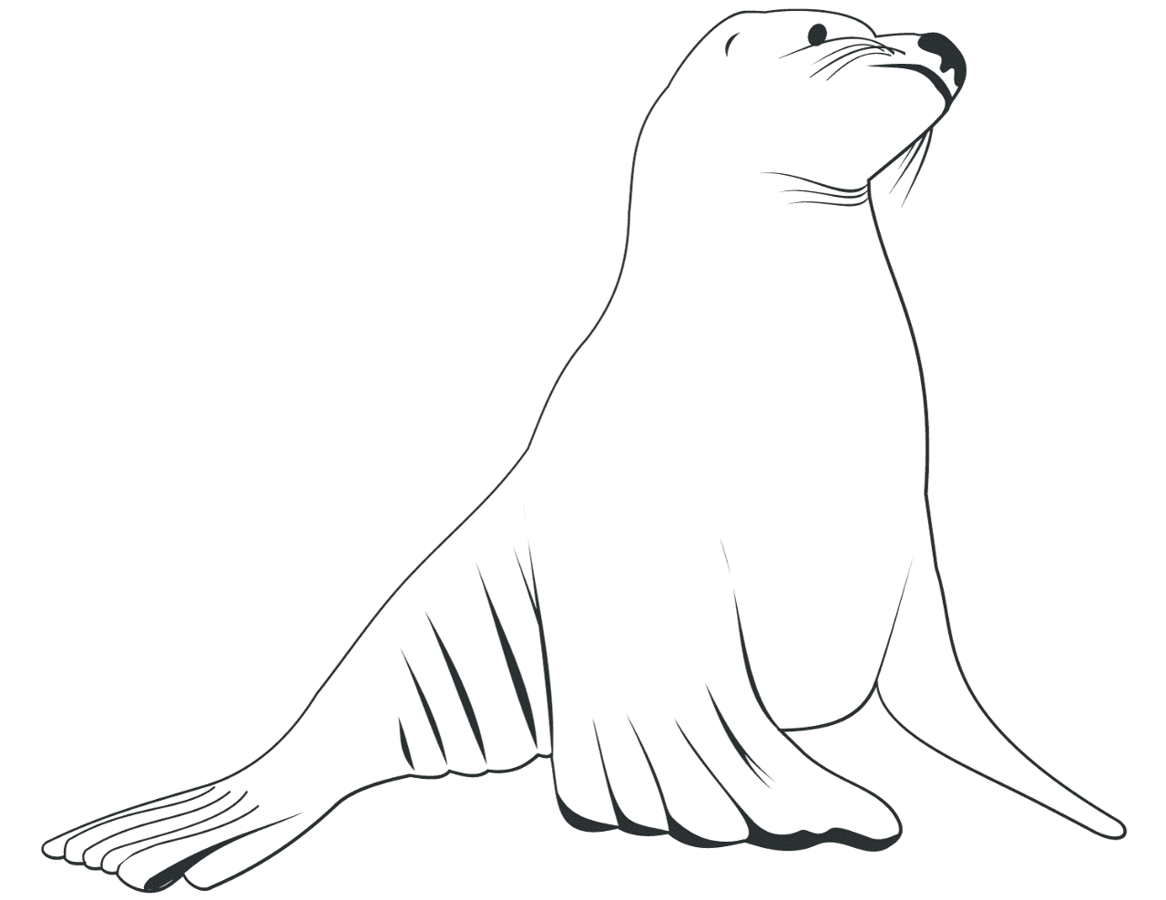 Desenho de Desenhos de Animais Marinhos para Colorir para colorir e imprimir: número 22