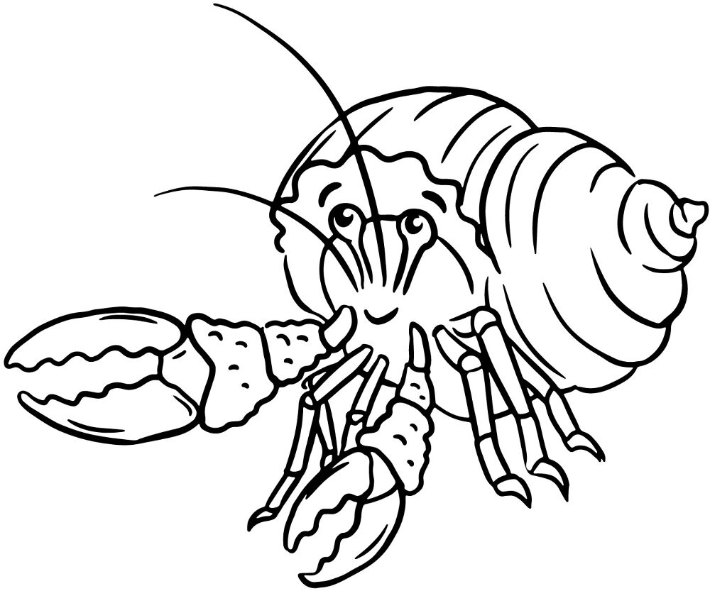 Desenho de Desenhos de Animais Marinhos para Colorir para colorir e imprimir: número 26